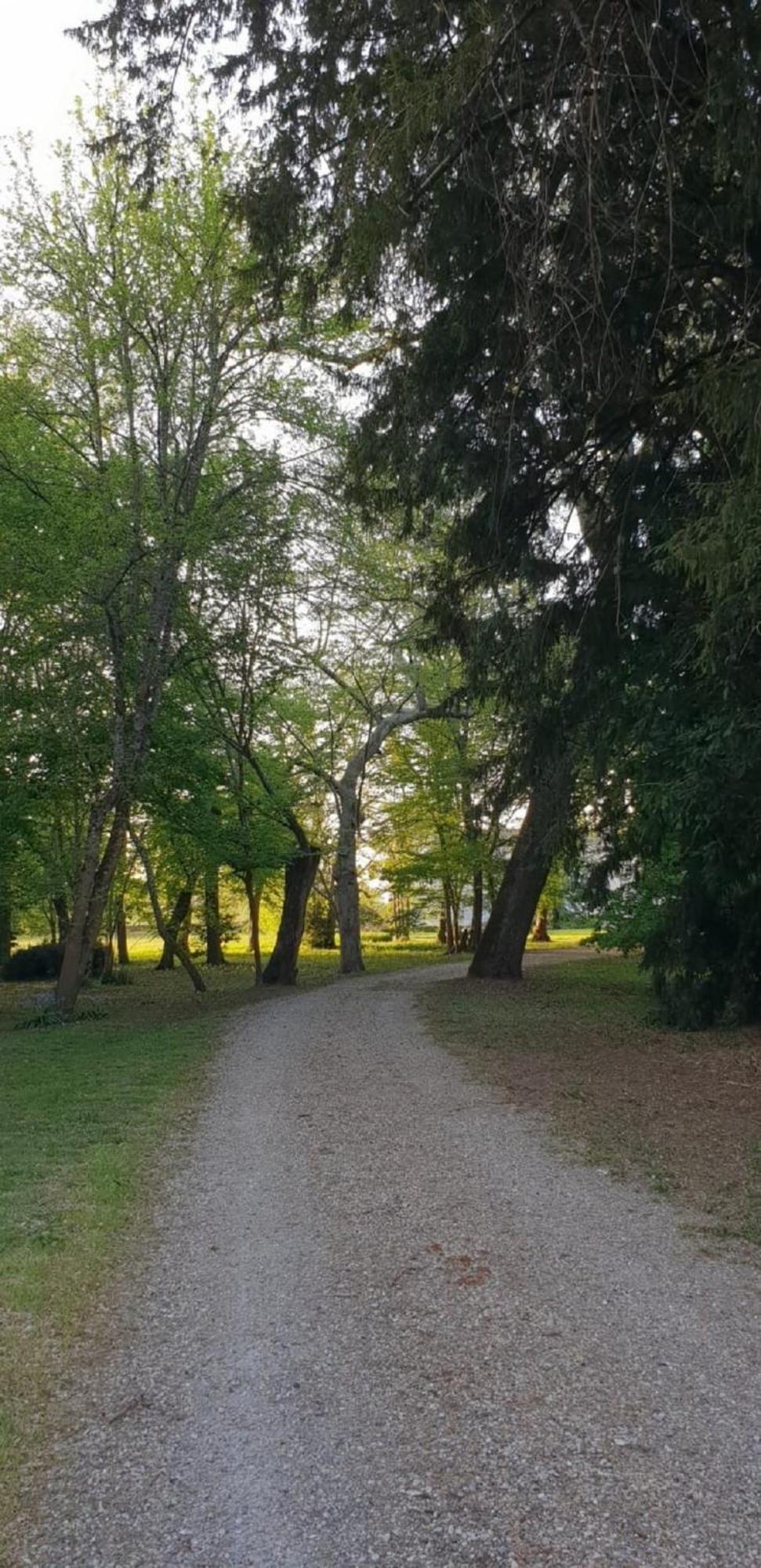 Pessac-sur-Dordogne Chateau De Vidasse מראה חיצוני תמונה